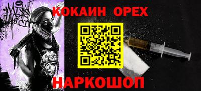 индика Кингисепп