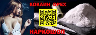 индика Кингисепп