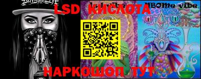 индика Кингисепп