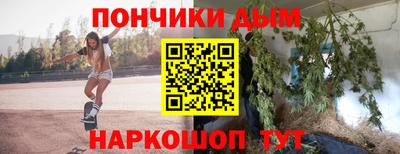 индика Кингисепп