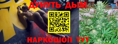 индика Кингисепп