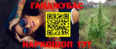 индика Кингисепп