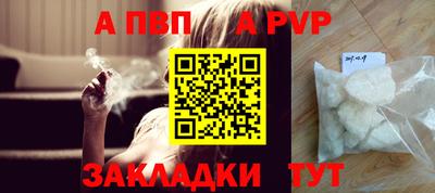 индика Кингисепп