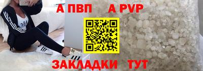 индика Кингисепп