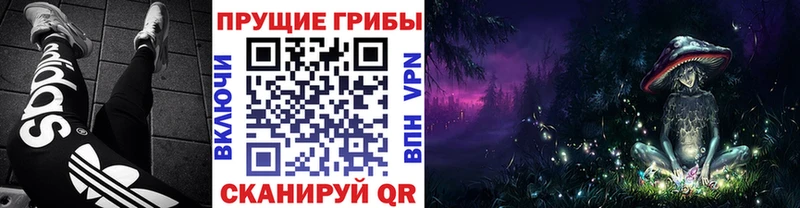 купить наркоту  Кувандык  Псилоцибиновые грибы ЛСД 