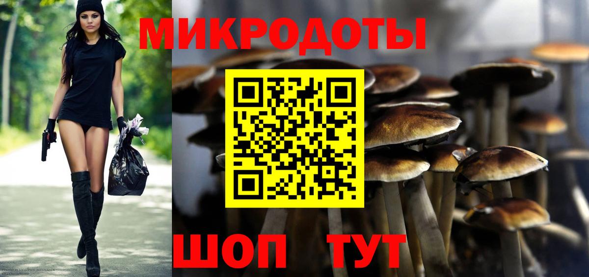 Галлюциногенные грибы Psilocybe Кувандык