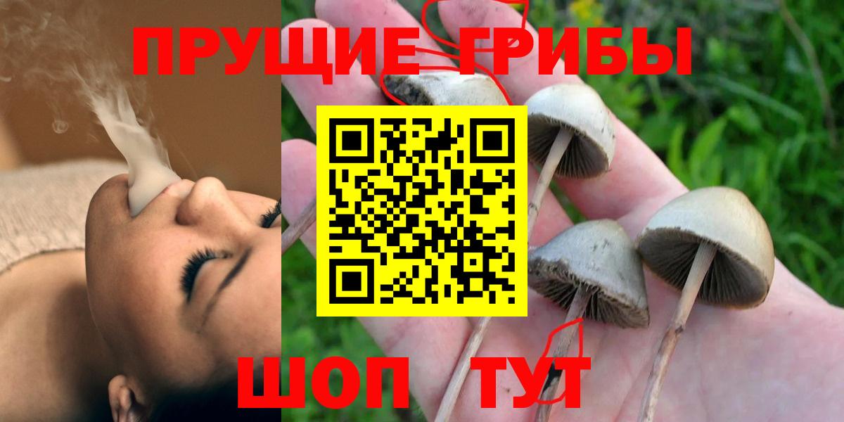 Псилоцибиновые грибы мухоморы  Псилоцибиновые грибы Psilocybine cubensis  Вход с VPN  Кувандык 